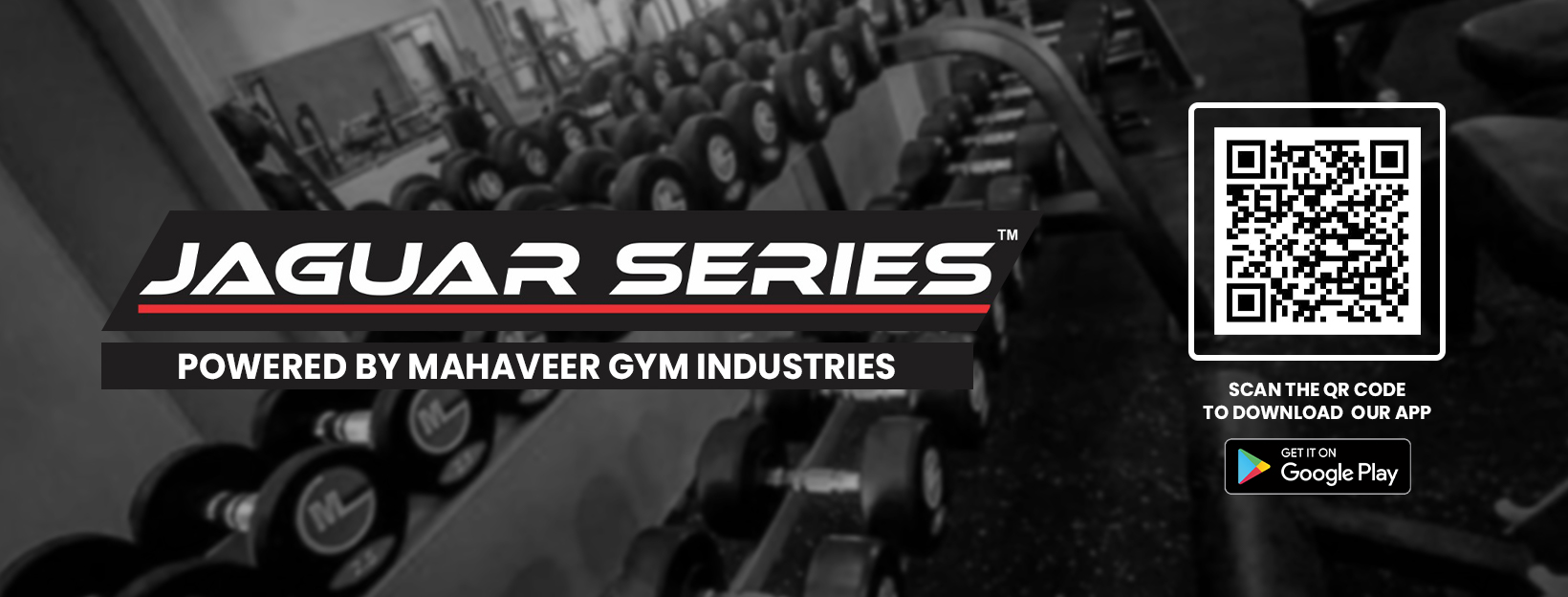 You are currently viewing Commercial Fitness gym equipment, best gym Machine manufacturer in India | Mahaveer Gym Industry